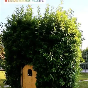  Bed & Breakfast Oasi
