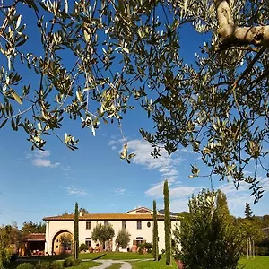  Bed & Breakfast Ai Condotti Di Pisa Da Filippo
